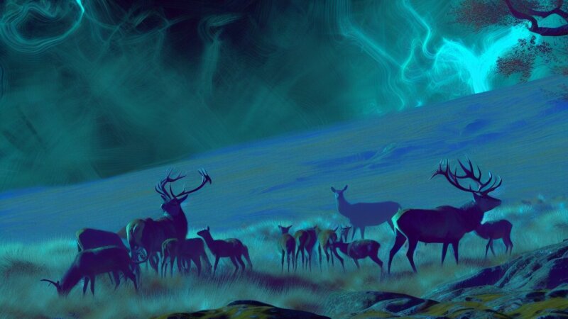 Animal behaviour: mating systems, parental care and communication