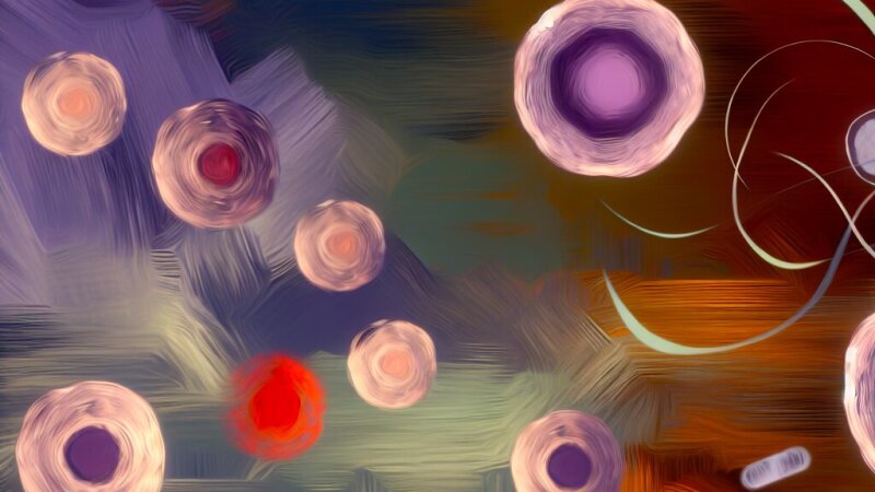 Cell cycle: Phases, regulation and health implications