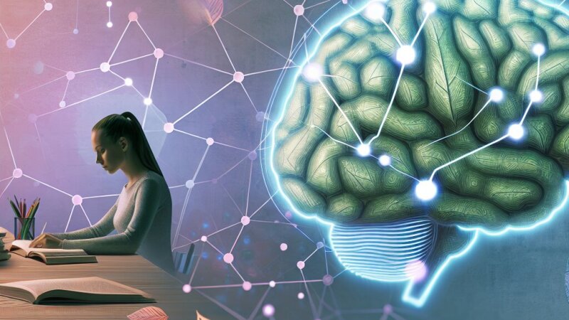 Exploring Memory: Key Concepts and Its Role in Learning